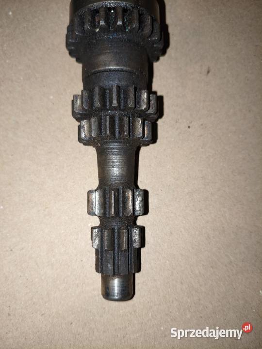 Wał skrzyni biegów że wstecznym biegiem Dniepr wielkopolskie Leszno