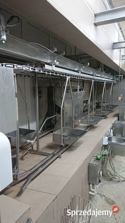 Linia do transportu jelit wielkopolskie Raków