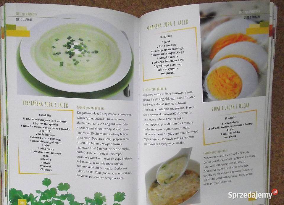 R Czarkowska Kastelik Kudzia Zupy 150 przepisów Poradniki, albumy i reportaże mazowieckie Warszawa sprzedam