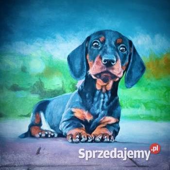 Portrety na zamówienie wielkopolskie Poznań sprzedam