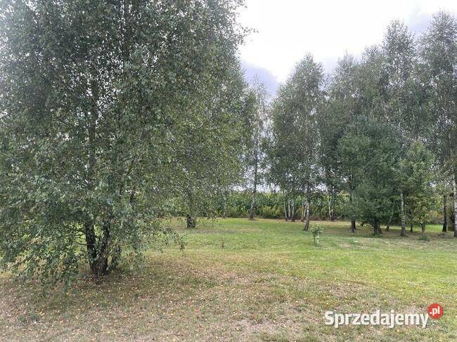 Piękna działka z warunkami