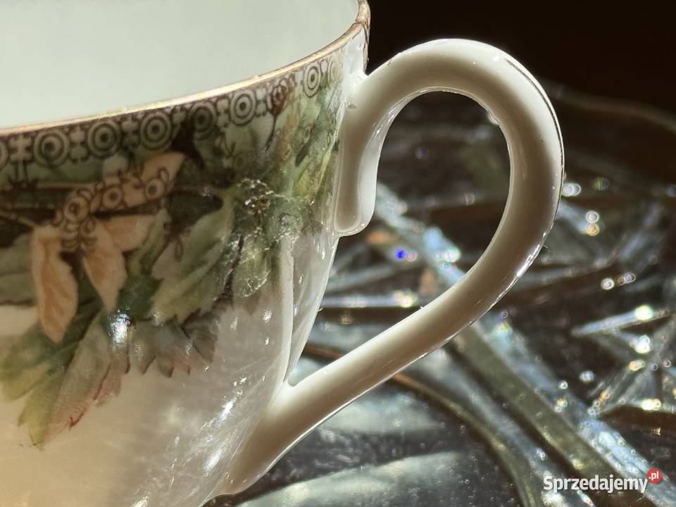 Filiżanka CT Altwasser podkarpackie Mielec sprzedam