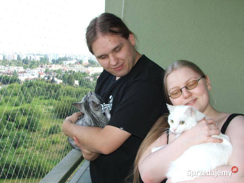 Siatka Kota na Balkon Drzwi i Okna montaż Łódź