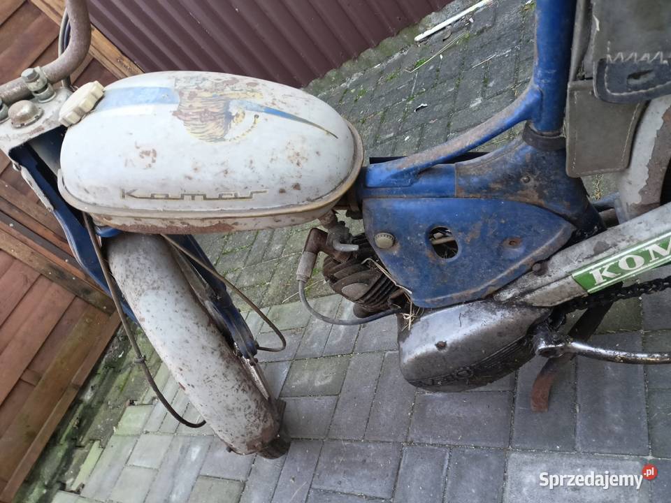 Komar Romet sztywniak Wołczyn