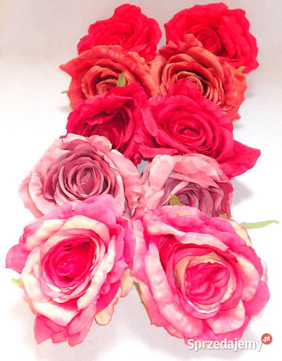 Róże rozwinięte różne kolory 1 śr 115 LA623