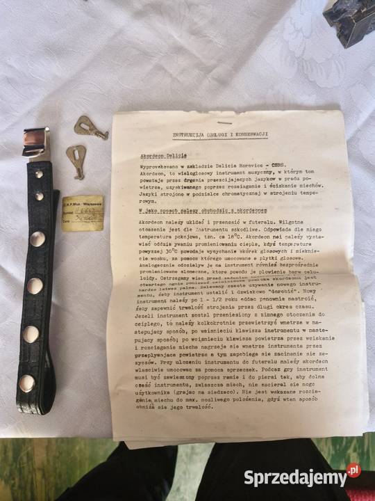 DELICIA CARMEN XII akordeon Bytom