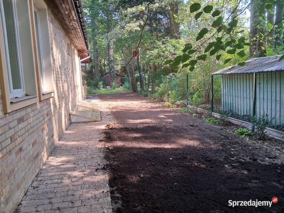 Glebogryzarka separacyjna trawnik ogrody Warszawa