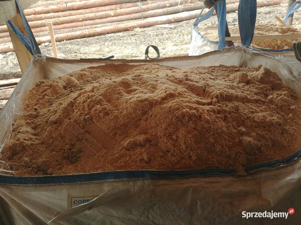 Trociny sprzedam BigBag sprzedam