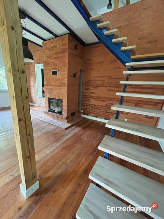 Piękny dom z Winnicą koło Miechowa sprzedam gospodarstwo Sprzedaż