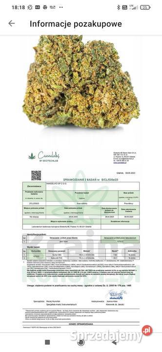 CBD susz konopny JACK HERER 6g Olsztyn