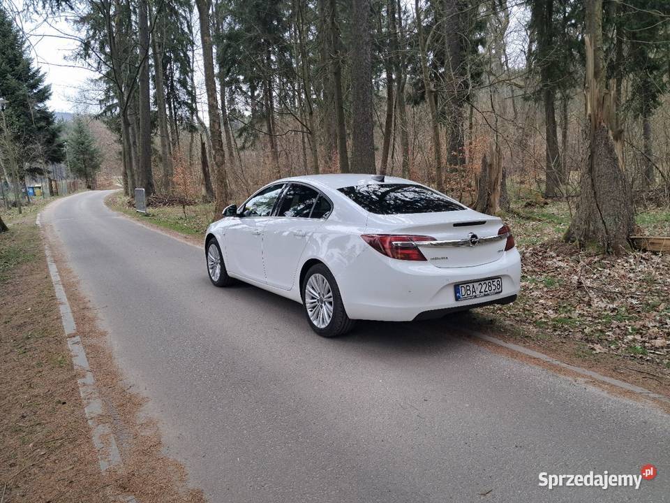 Opel Insygnia 16cdti Wałbrzych