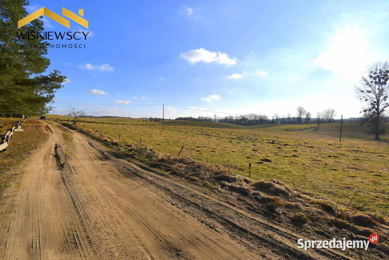 Działka 3001 m2 lesie budowlana uzbrojona