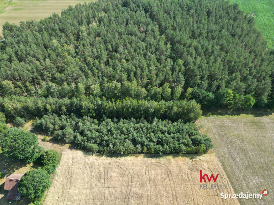 Grunt Jerominy 3702m2