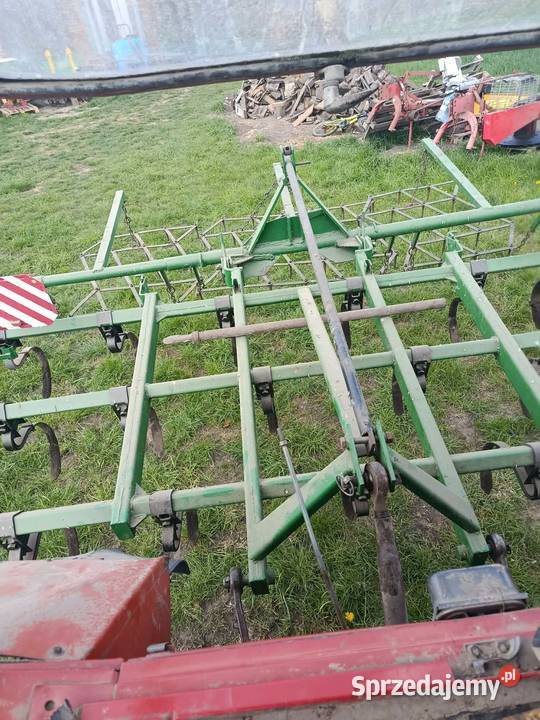 Gryf grajwer lubelskie