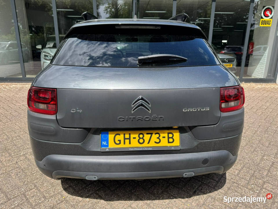 Citroen C4 Cactus Citroen C4 Cactus 12B 2015r wspomaganie kierownicy mazowieckie Sokołów Podlaski