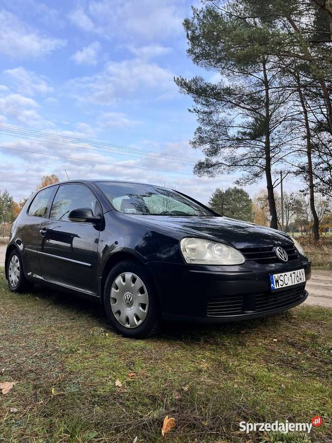 Volkswagen Golf V 19 TDI Blue Motion 2005 Sochaczew