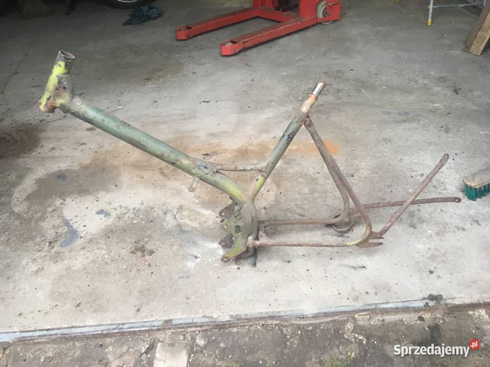 Rama Ryś Żak Komar sztywniak wielkopolskie Książ Wielkopolski sprzedam