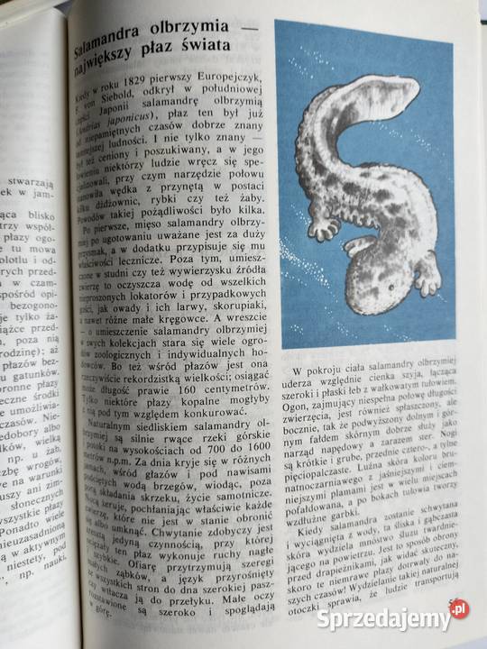 Przystosowani pożyją dłużej Zuzanna Stromenger Gdynia sprzedam