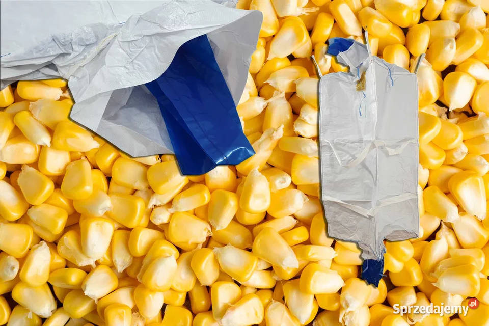 Big Bag leje wkład foliowy do kiszonek nowy Kraków