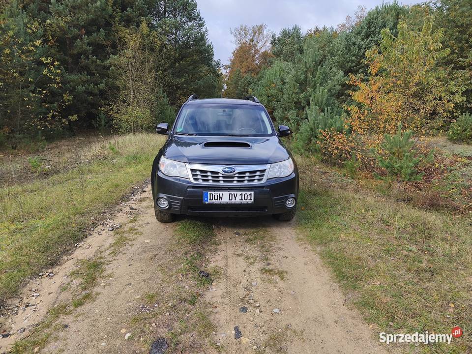 Subaru Forester 20 Diesel 4x4 Kamera Panorama 176000km