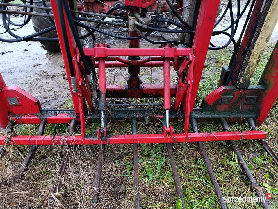 Wycinak vikon części mazowieckie Borki