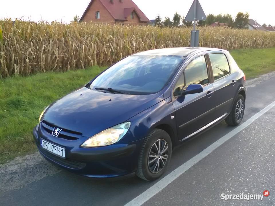 Peugeot 307 xs