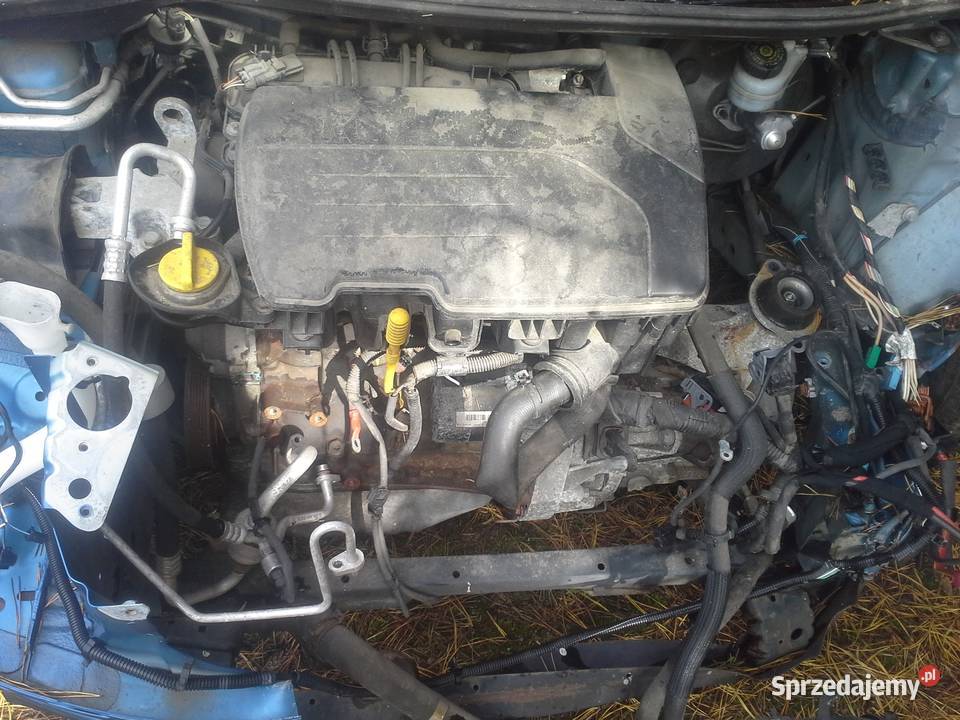 RENAULT TWINGO II 2 ĆWIARTKA blotnik tylny prawy Pionki