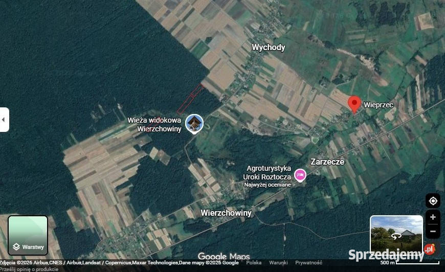 Sprzedam udziały leśne 134 ha Wieprzec Wychody