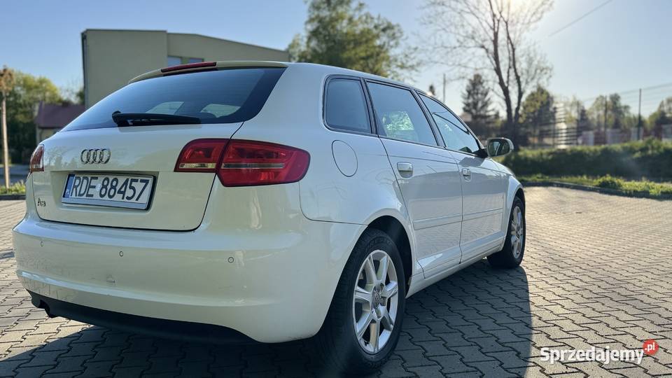 Audi A3 8P 2010 16 TDI 262 000 podkarpackie Pilzno