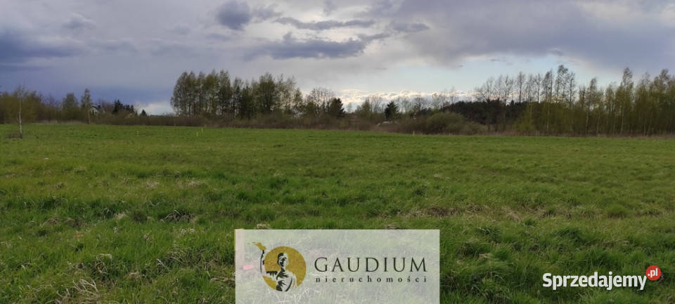działki w Drewnicy Drewnica sprzedam