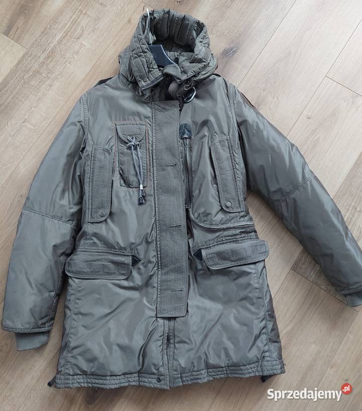 kurtak plaszczuk małopolskie