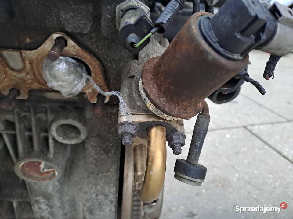Audi Volkswagen 14 16V silnik kompletny kod AUA Jastrzębie-Zdrój