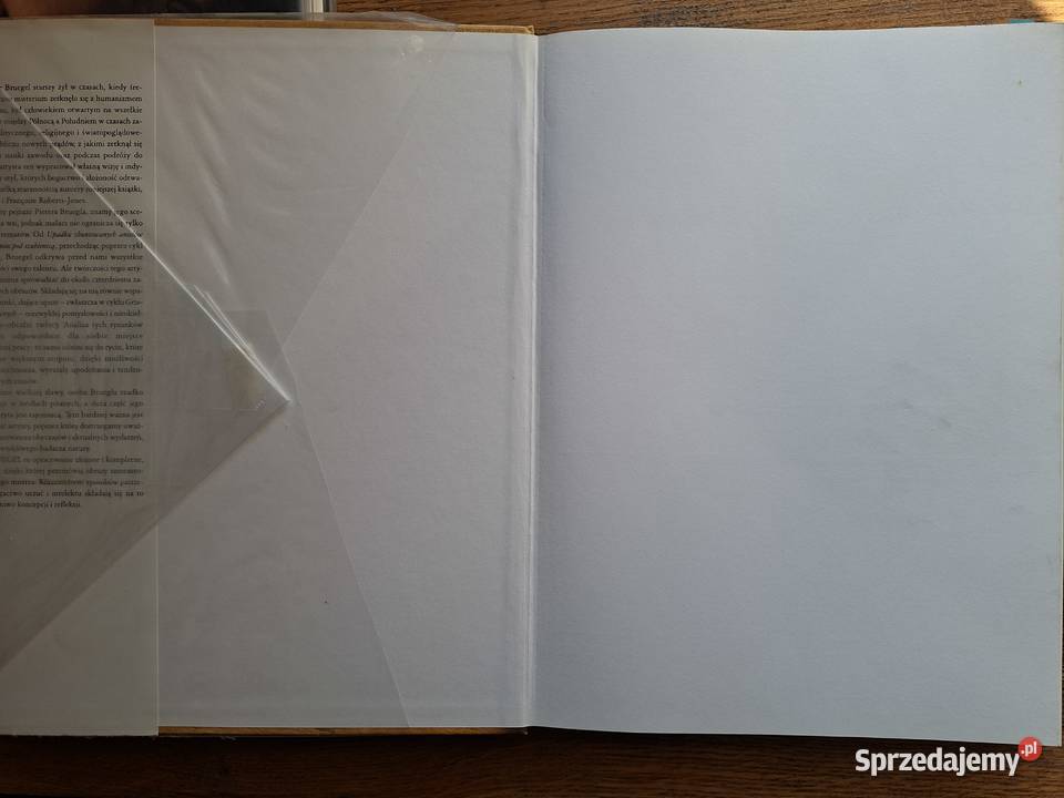 Bruegel Philippe i Francoise Roberts Jones Kraków