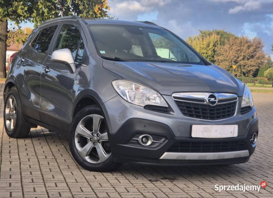 Sprzedam opla mokke wielkopolskie Września