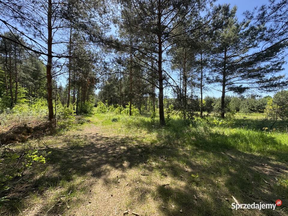 CEREKIEW DZIAŁKA 1137M2 26m