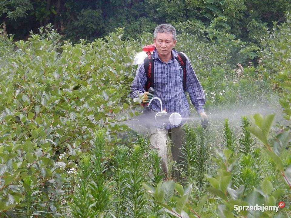 CIFARELLI M1200 OPRYSKIWACZ SPALINOWY PLECAKOWY Narzędzia ogrodnicze Opalenica