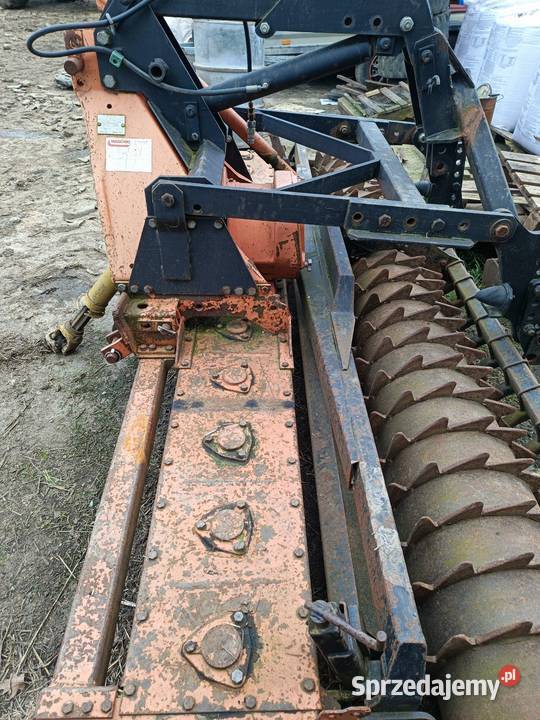 Brona aktywna maschio 3m Leśniaki