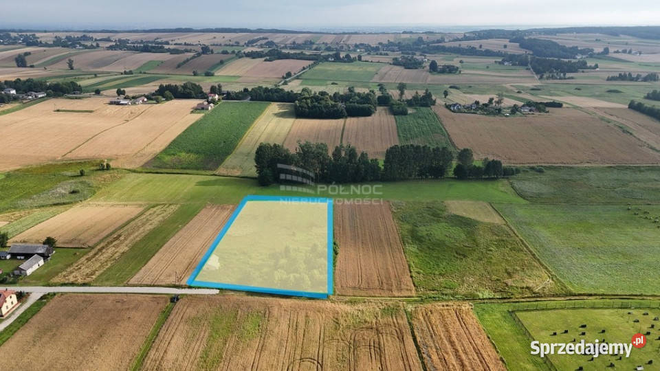 Sprzedam siedlisko w Bożej Woli gm Adamów Nieruchomości Boża Wola