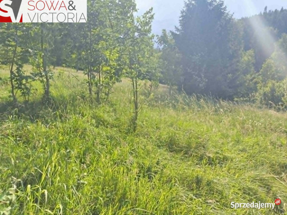 Kameralna działka pod lasem budowlana Jedlina-Zdrój