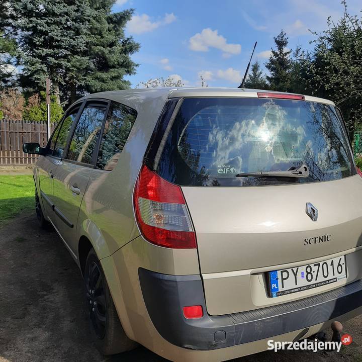 19 dci 7 osobowy Niski przebieg 169 okazja Poznań sprzedam