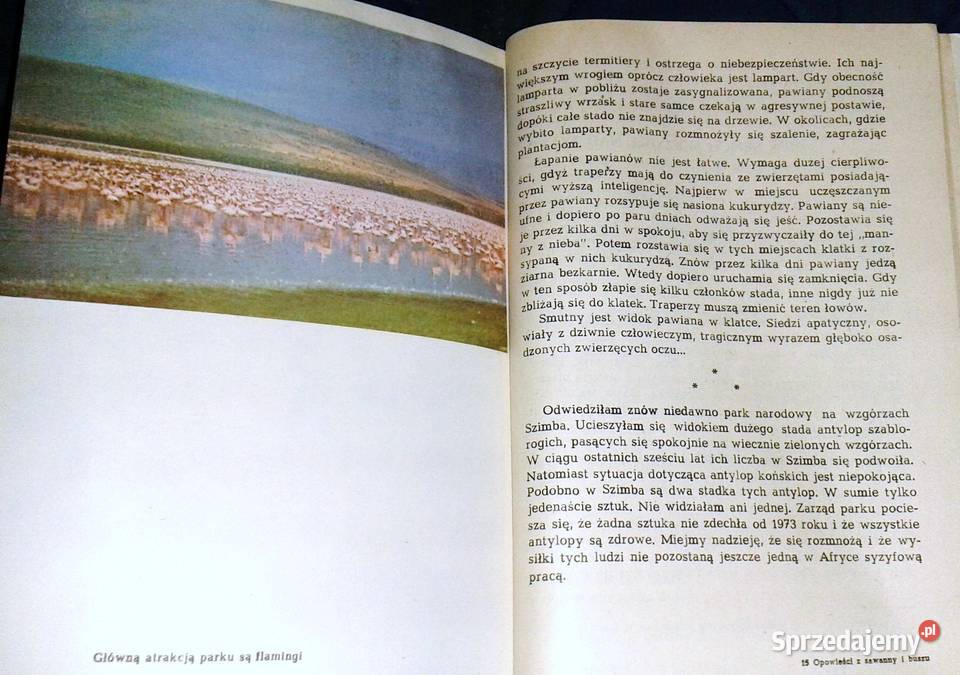 Opowieści z sawanny i buszu Ada Wińcza