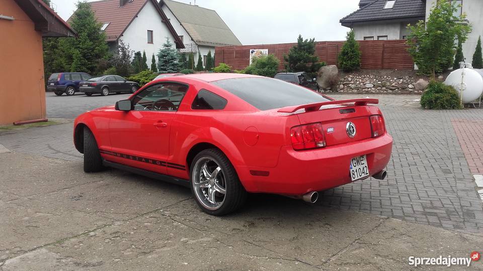 Ford Mustang Mustang 40 doinwestowany tuning Rok produkcji 2006 Wejherowo