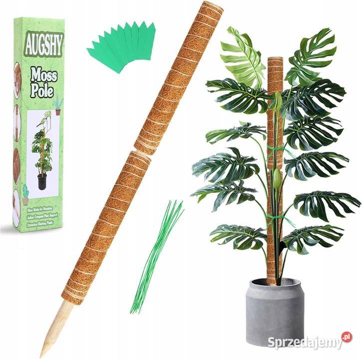 2X PODPORA DO ROŚLIN 40 TYCZKA PAŁKA WŁÓKNO Myszyniec