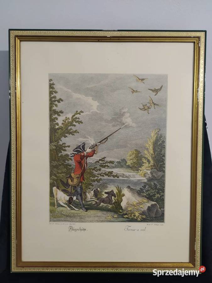RIDINGER JE MIEDZIORYT GRAFIKA dolnośląskie Siechnice