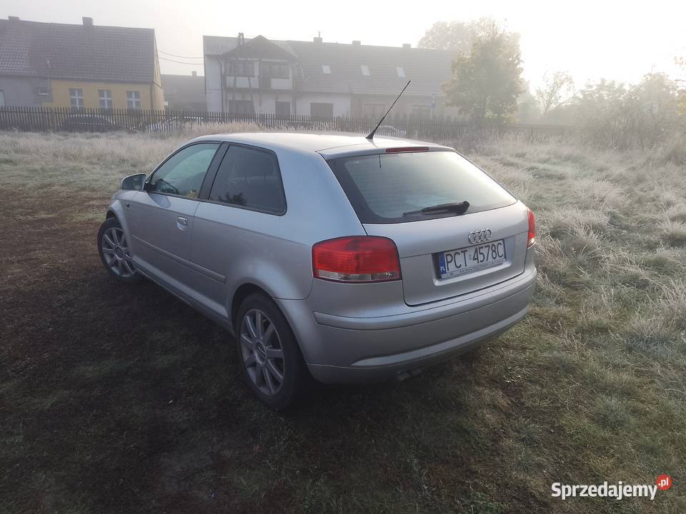 Audi a3 duży grill 20 TDI Ali 17 Wieleń