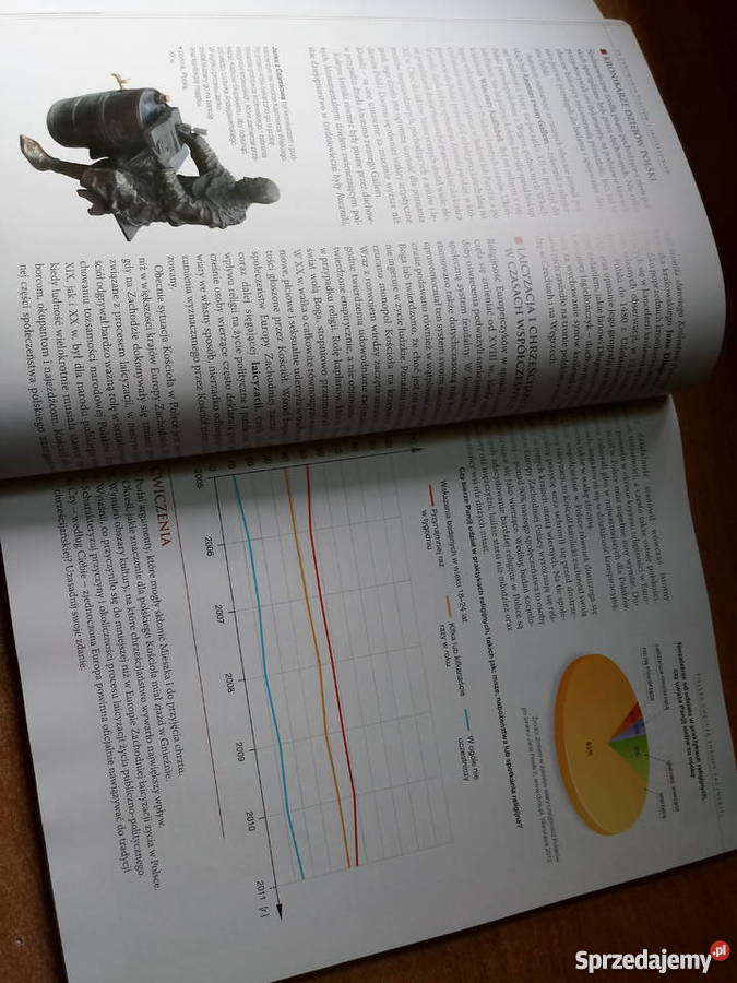Historia I Społeczeństwo Ojczysty Panteon I Ojczyste Spory Online Ojczysty Panteon i ojczyste spory Zamch - Sprzedajemy.pl