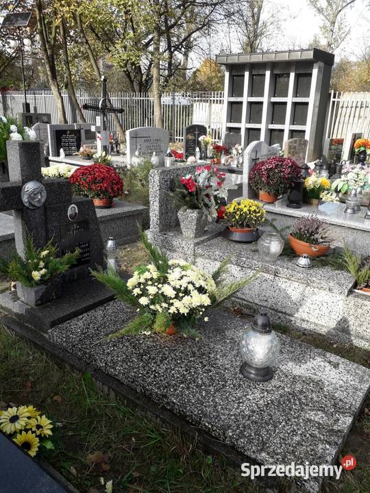 GRÓB ZIEMNY Sprzedaż małopolskie Kraków