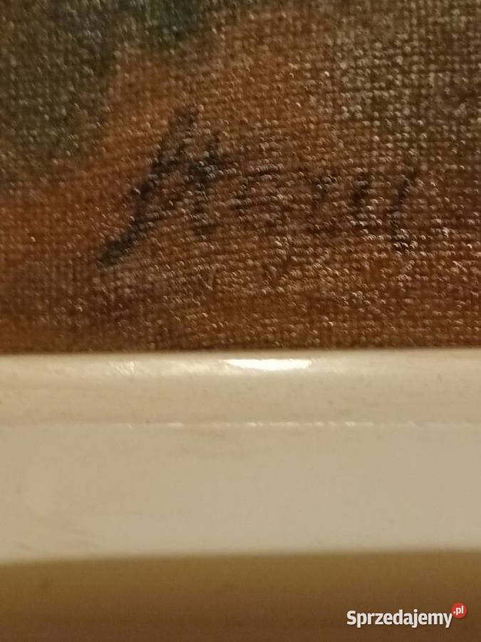 Dzbany w nieładzie śląskie