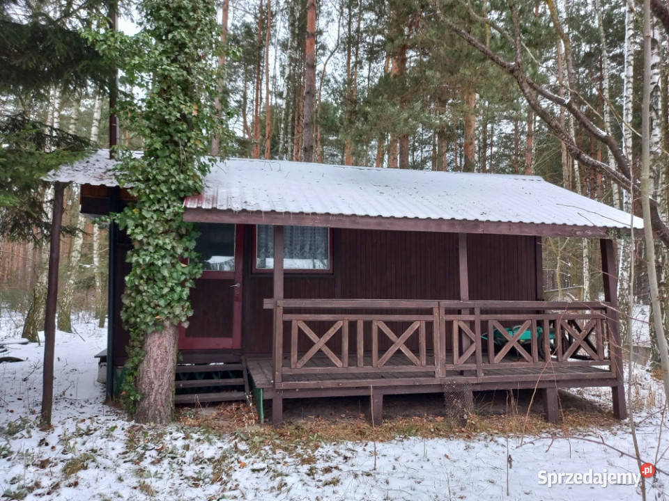 Działka leśna idealna na rekreację Dęba sprzedam