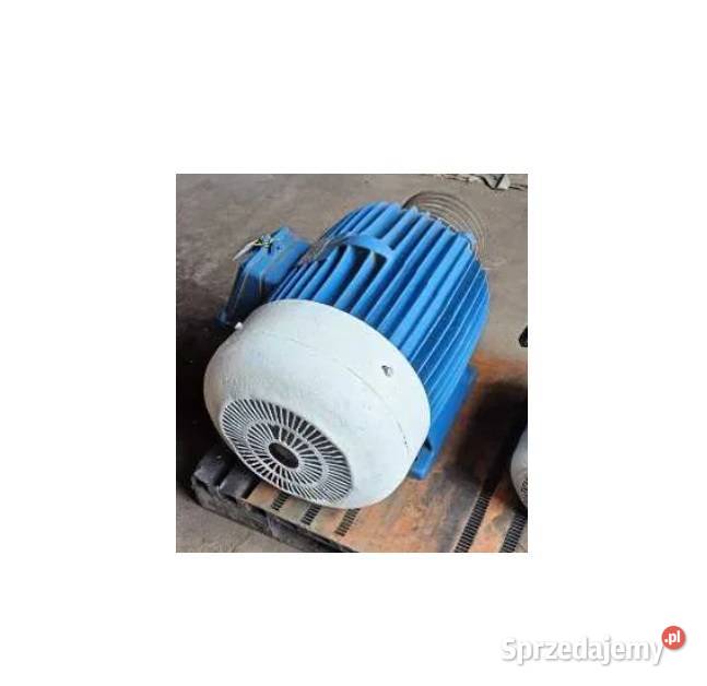 Silnik elektryczny 37KW Świeryż Pierwszy